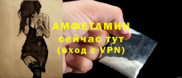 гидра Касимов