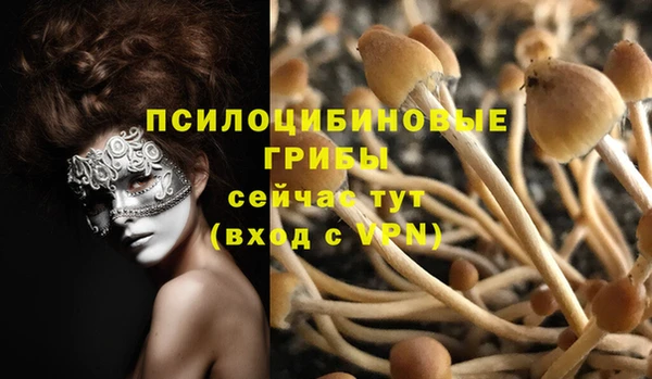 таблы Инта