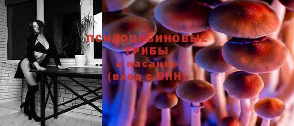 таблы Инта