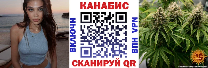 Канабис сатива  Павловск 